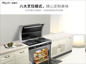 集成灶十大品牌哪个牌子好 十大热销品牌一览表